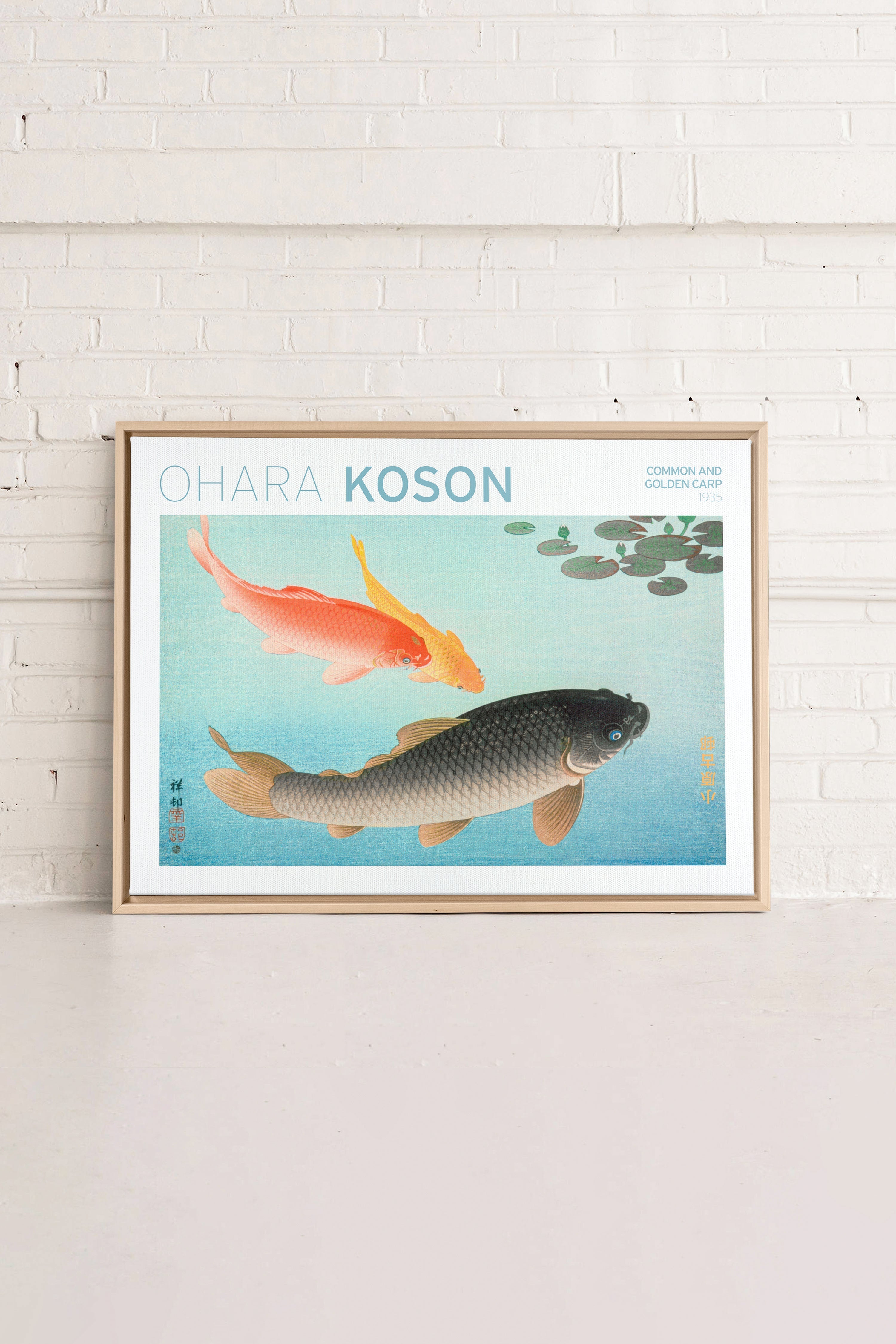 OLEKA CANVAS - COMMON & GOLDEN CARP, Oeuvre sur toile étirée, encadré Naturel Clair