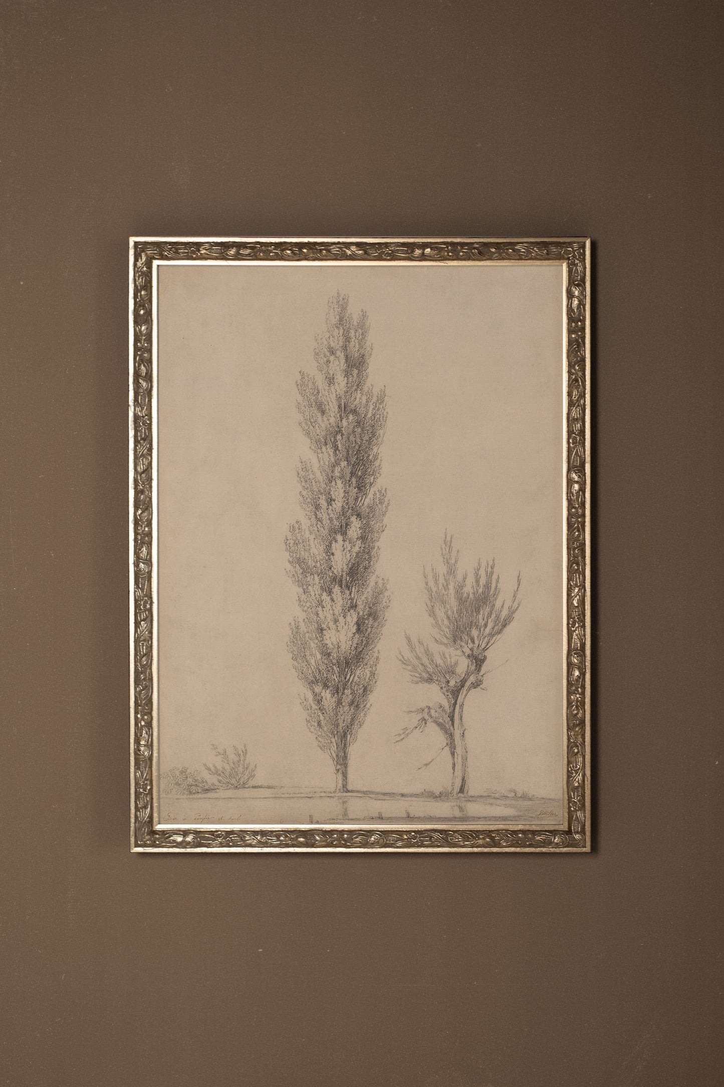 POPLAR BREATH, VINTAGE SILVER FRAME