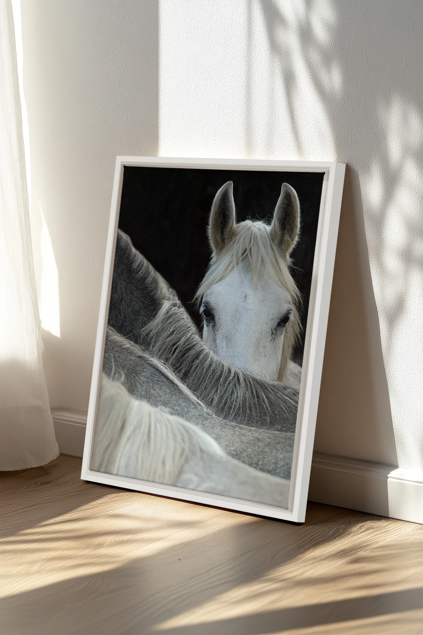 Regard Sauvage, Oeuvre sur toile étirée