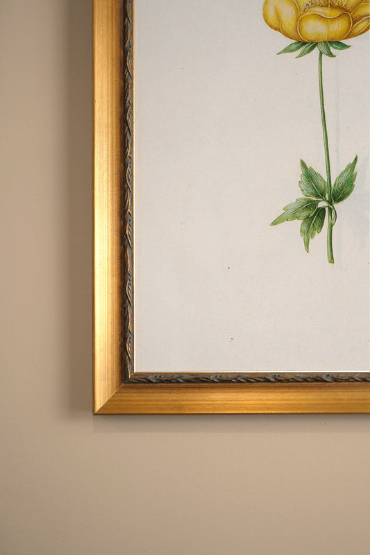 BOTANICAL POETRY, VINTAGE GOLD FRAME