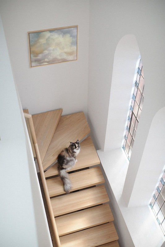 NEBULA, Oeuvre sur toile étirée