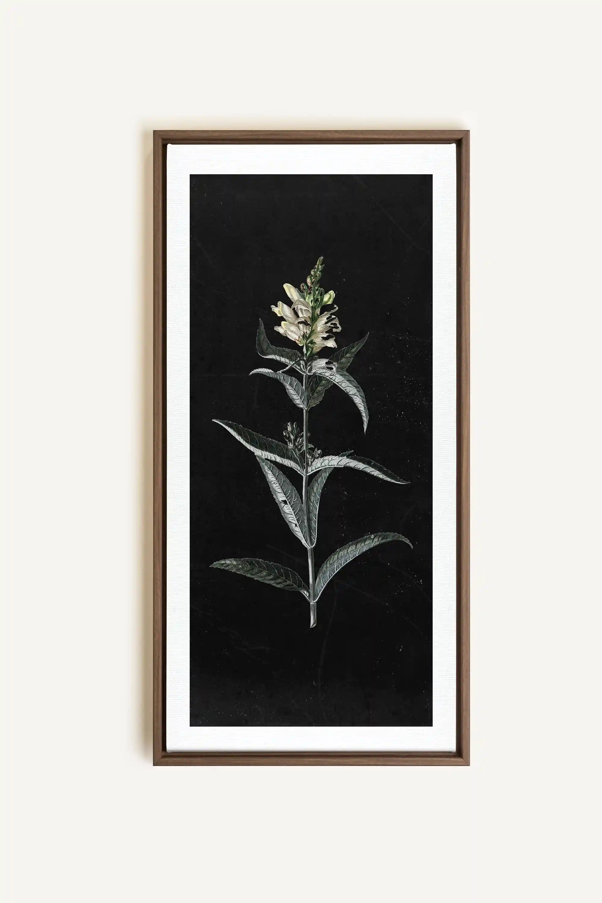 GUARDIAN BLOOM, Work on stretched canvas, framed Oak Brown