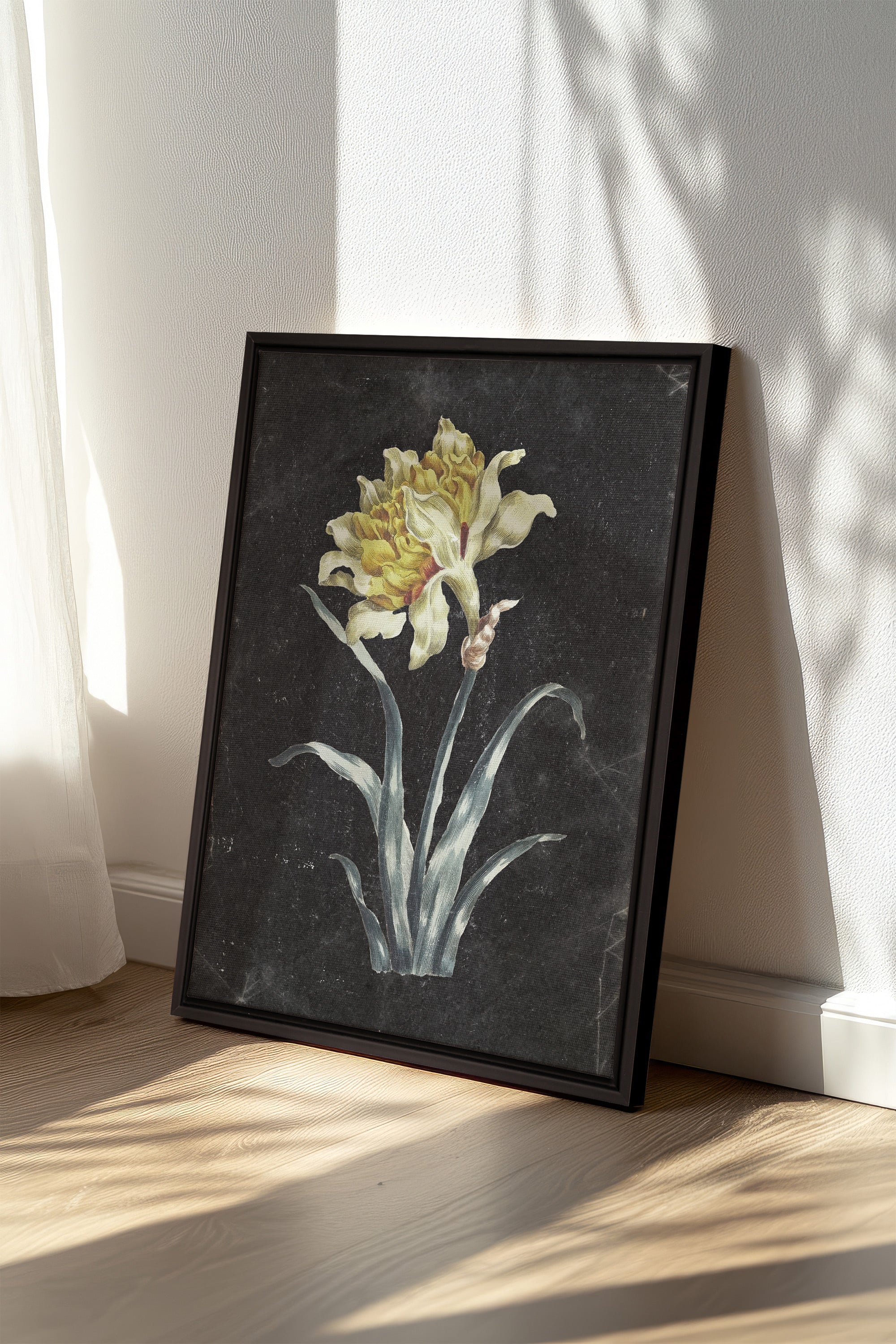 PRECIOUS FLORA, Oeuvre sur toile étirée, encadré Noir
