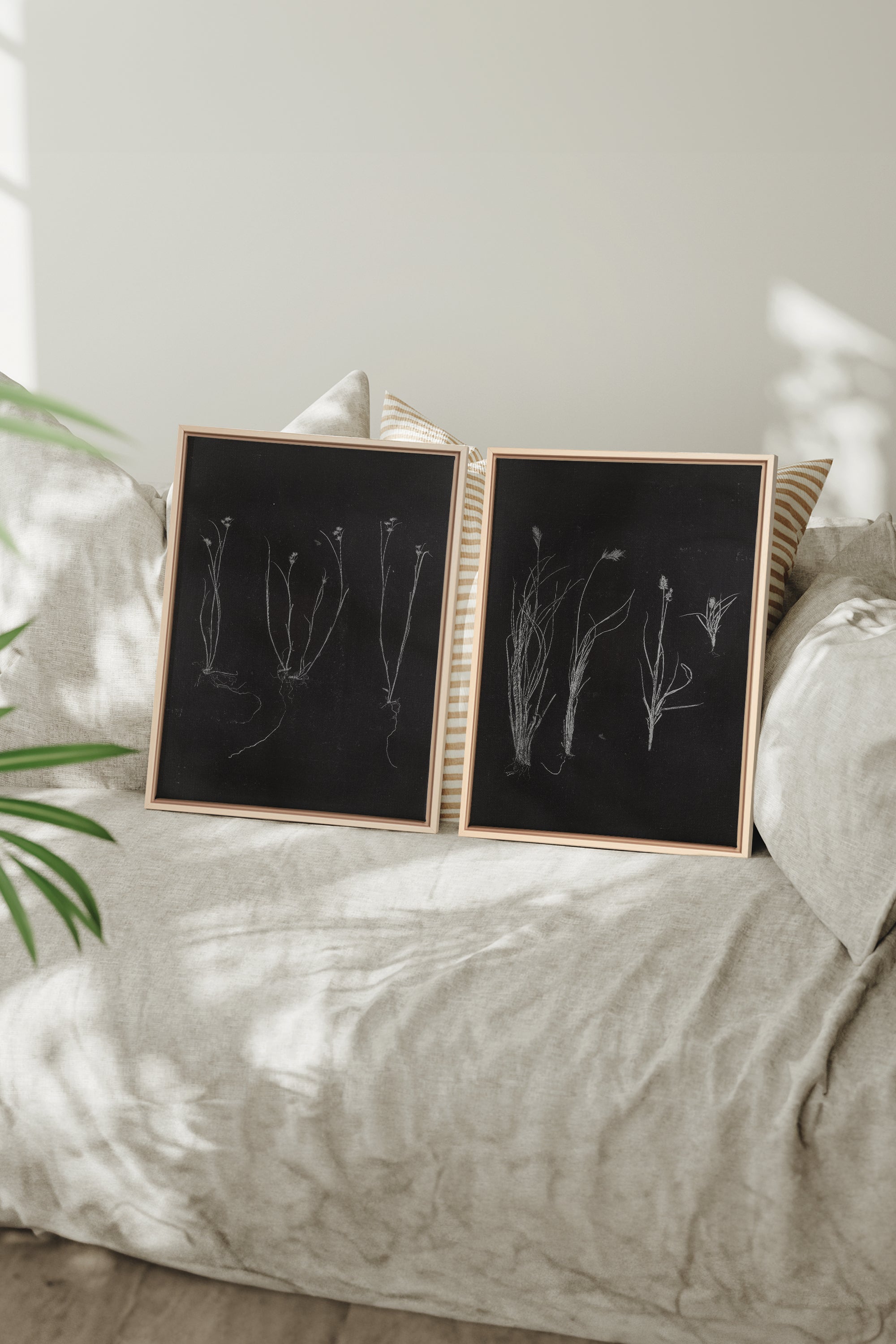 DUO ORIGINES SAUVAGES, 2 Oeuvres sur toile étirée, encadré Naturel Clair