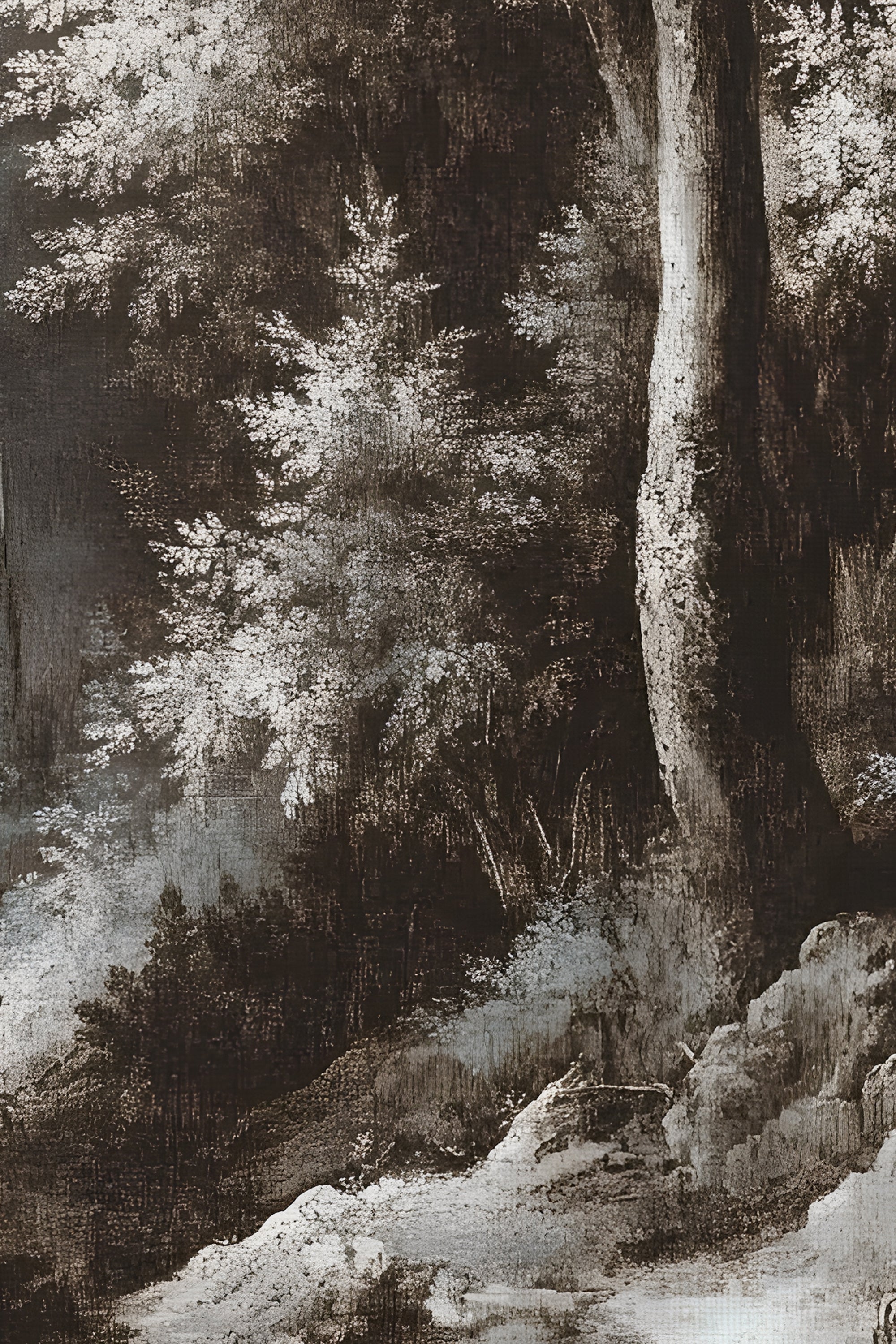FORÊT OUBLIÉE, Oeuvre sur toile rigide, encadré Vintage Argent
