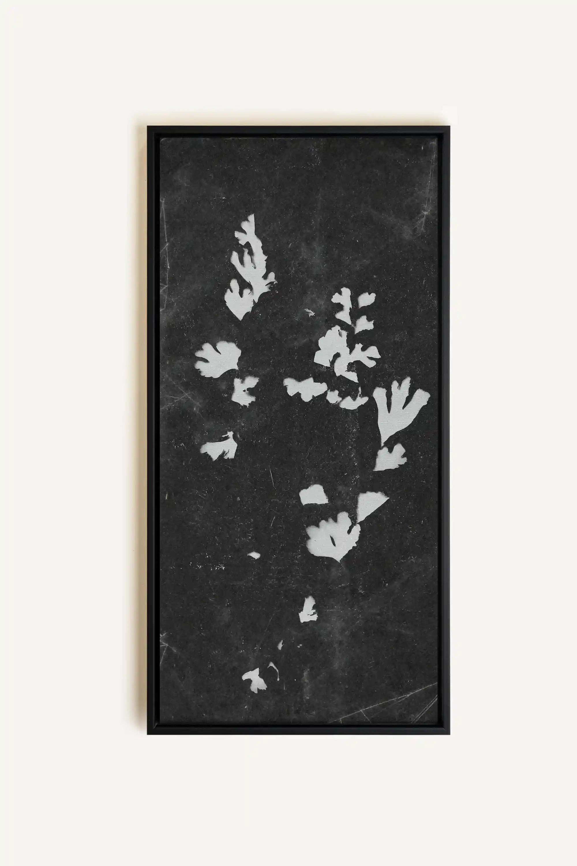 GHOST LEAVES, Oeuvre sur toile étirée, encadré Noir