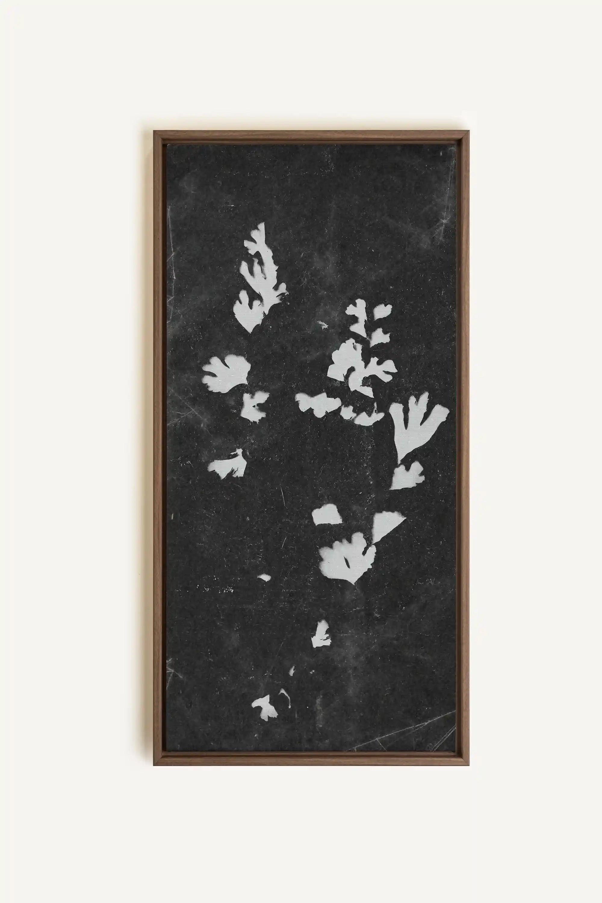 GHOST LEAVES, Oeuvre sur toile étirée, encadré Brun Chêne