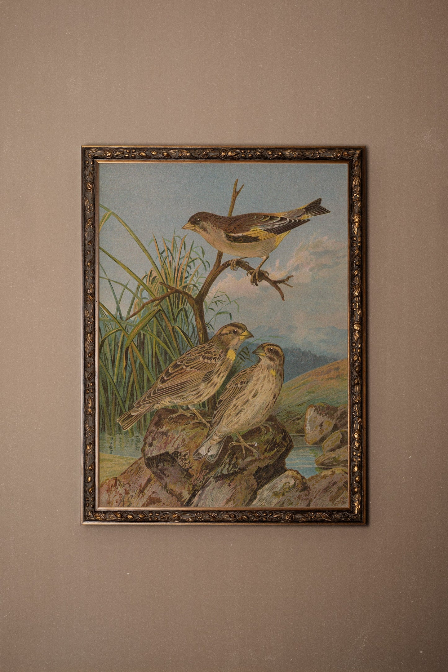 CHANT DES ROSEAUX, VINTAGE BRONZE FRAME