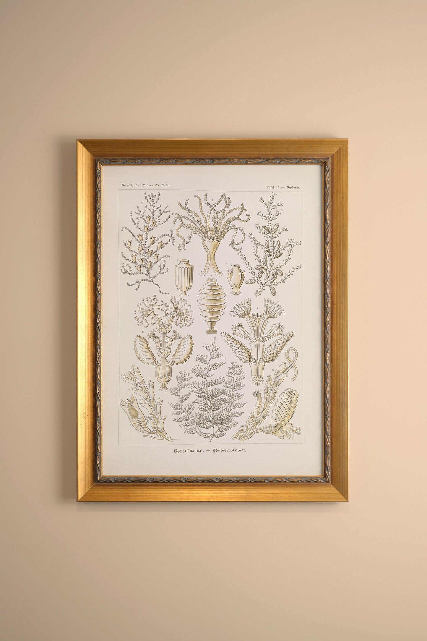 MARINE ESSENCE, VINTAGE GOLD FRAME
