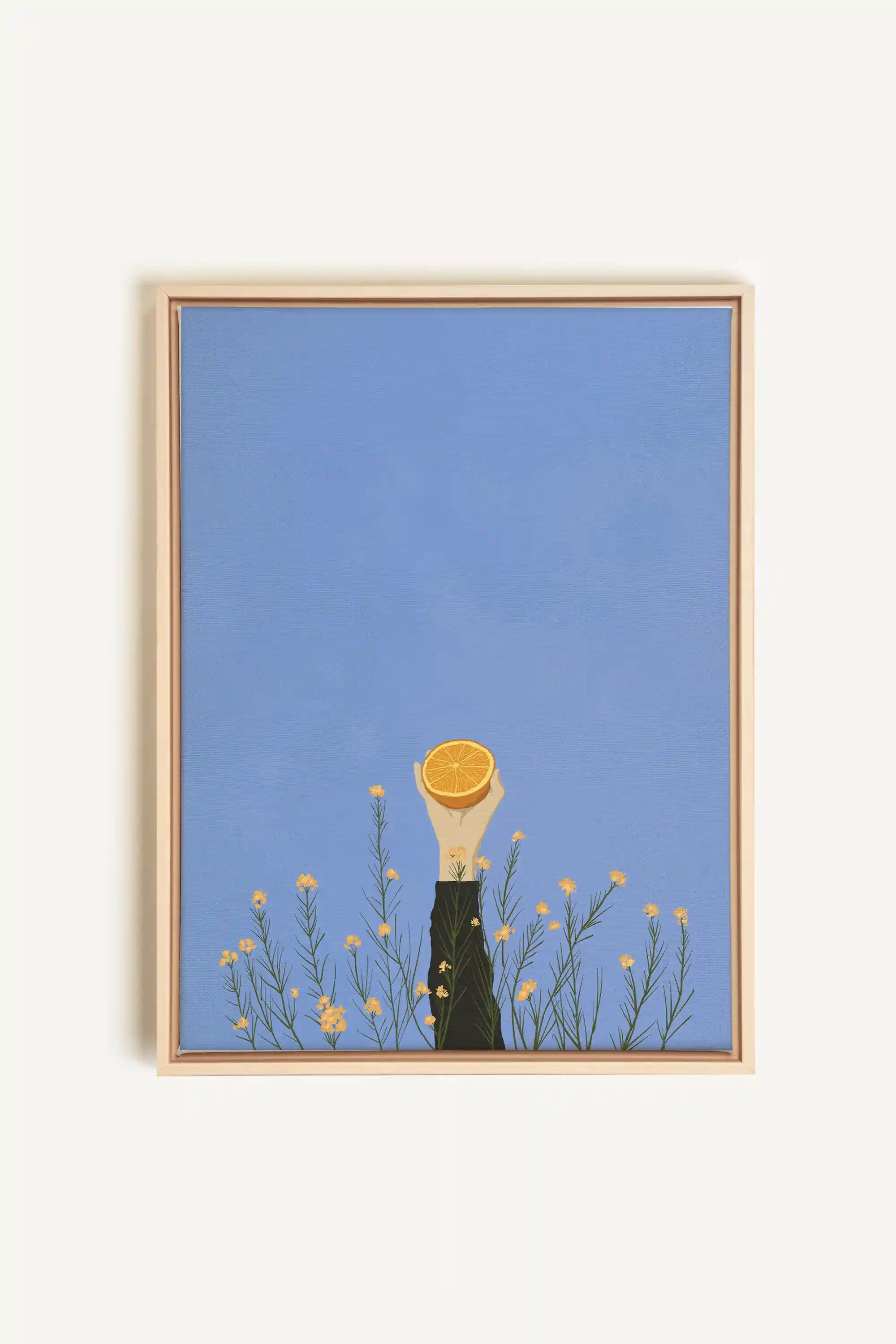 FLORAISON D&