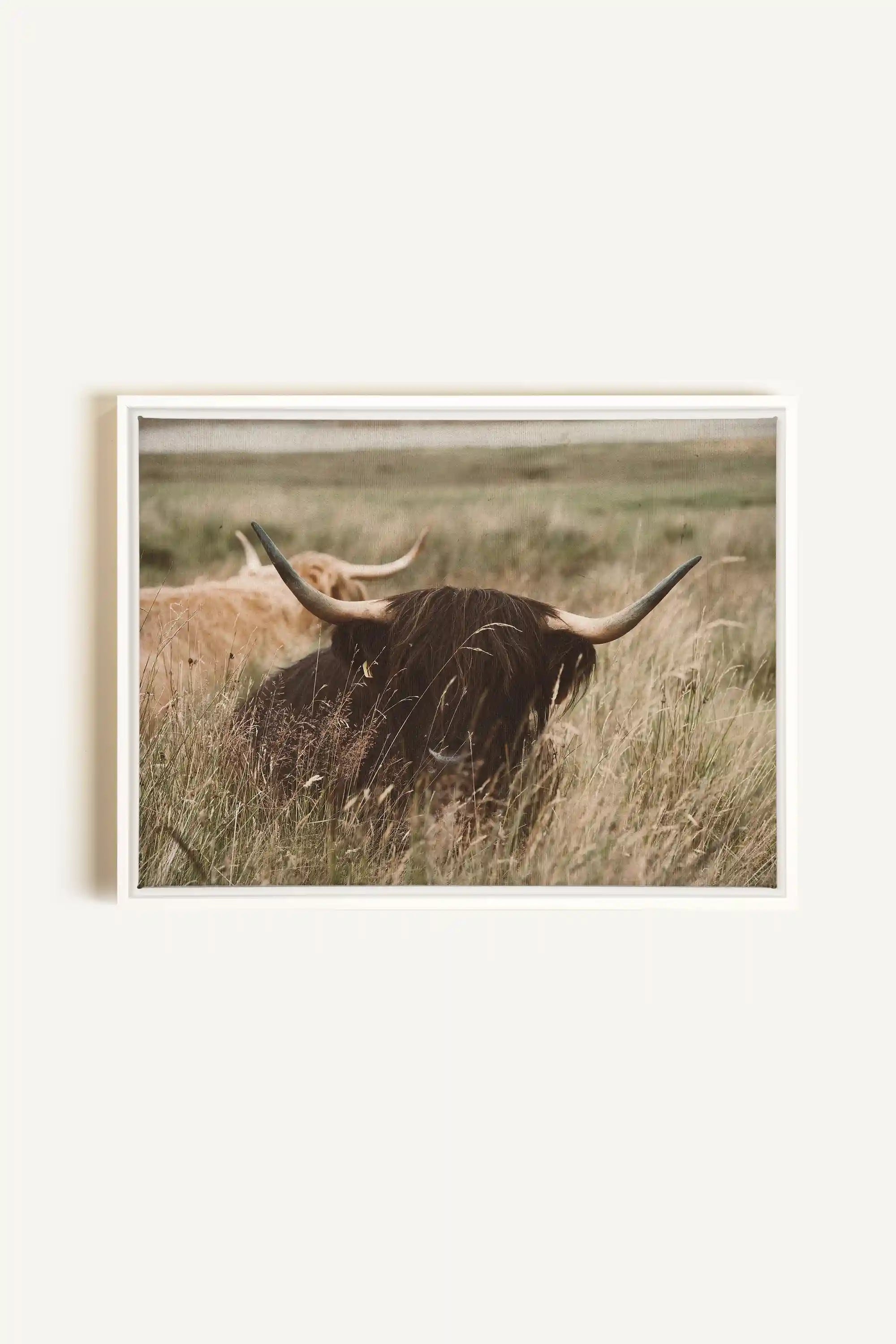 HIGHLAND SPIRIT, Artwork on stretched canvas, framed in white