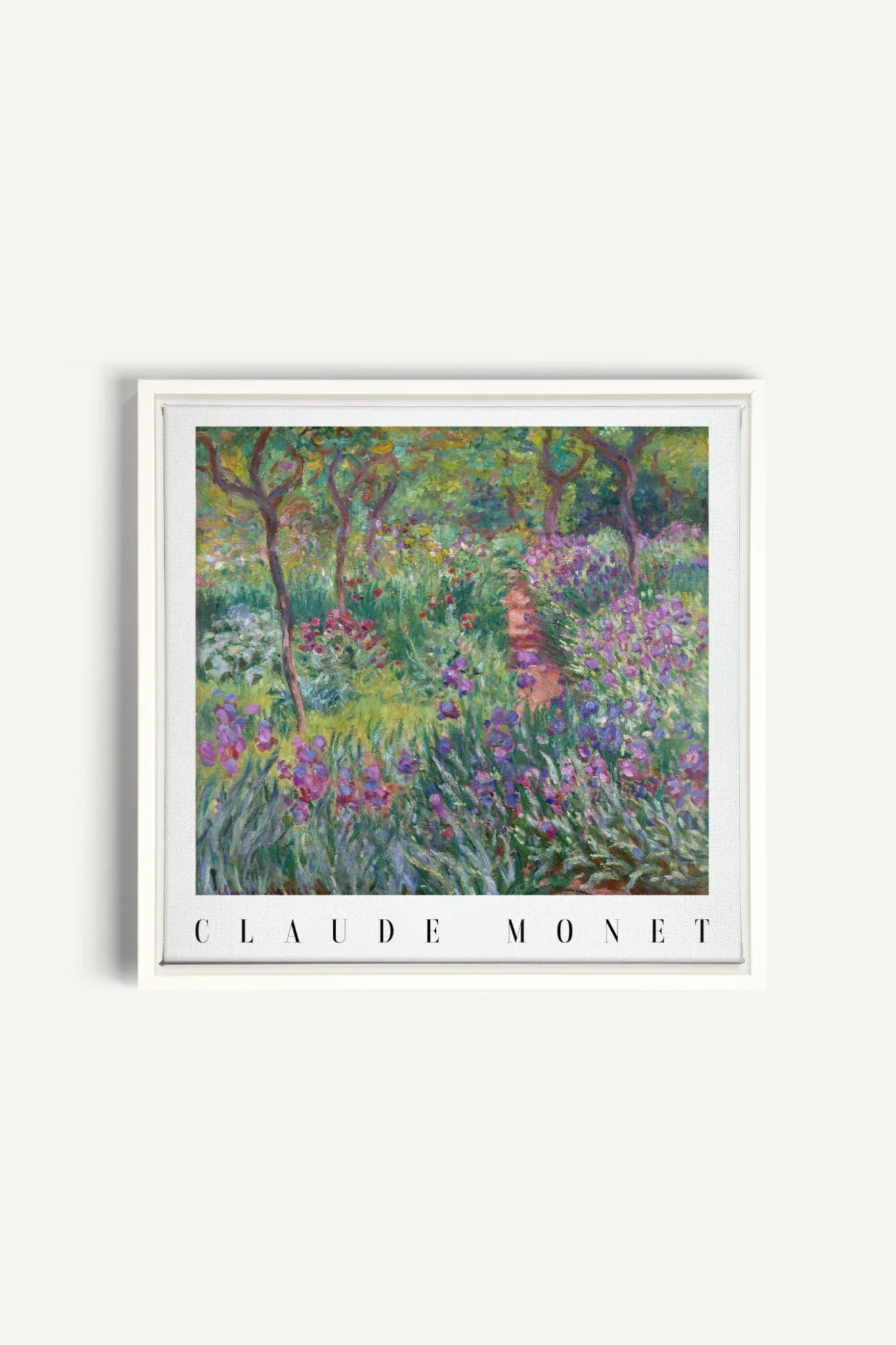 IRIS PATH, Oeuvre sur toile étirée, encadré Blanc