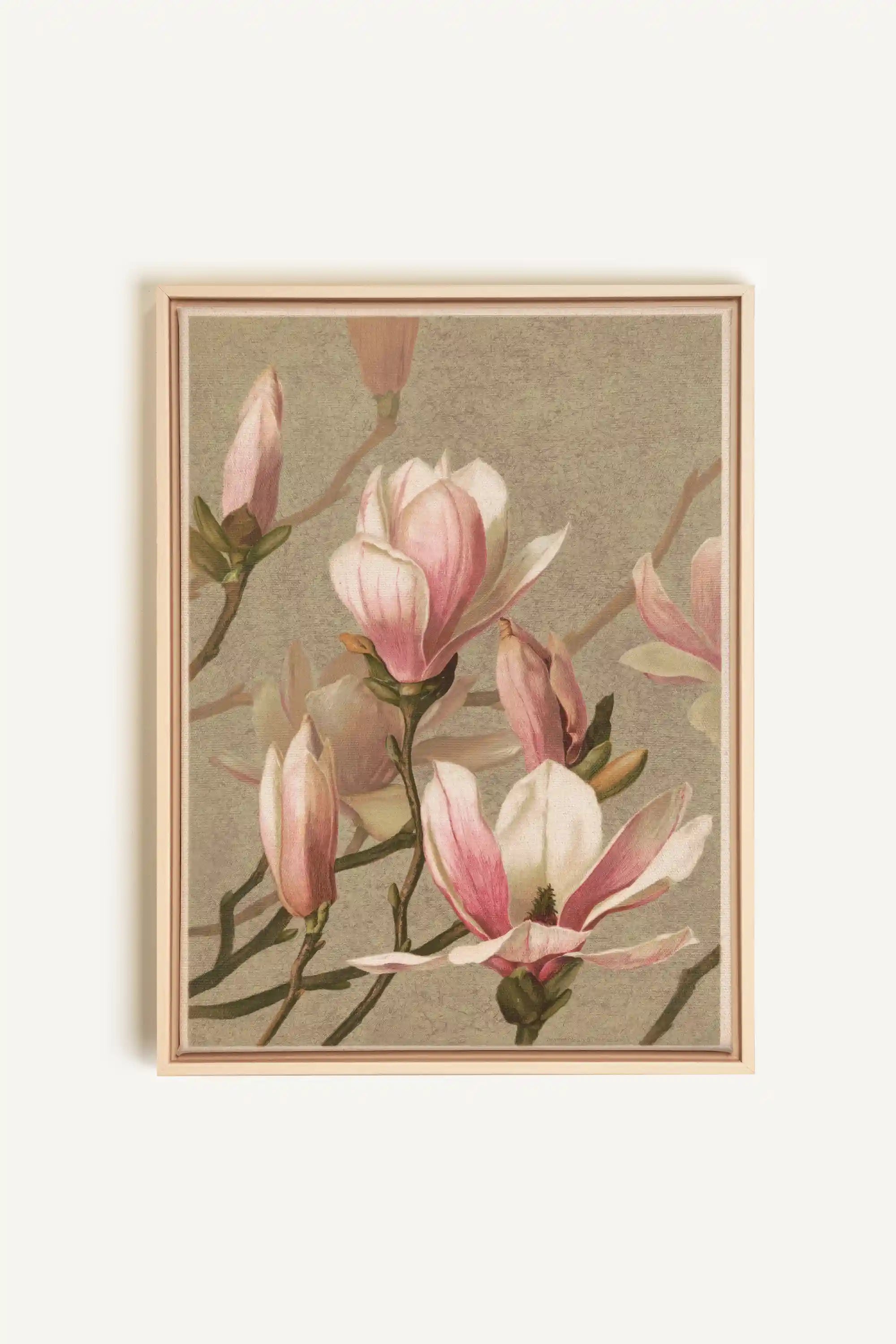 MAGNOLIA WHISPER, Oeuvre sur toile étirée, encadré Naturel Clair