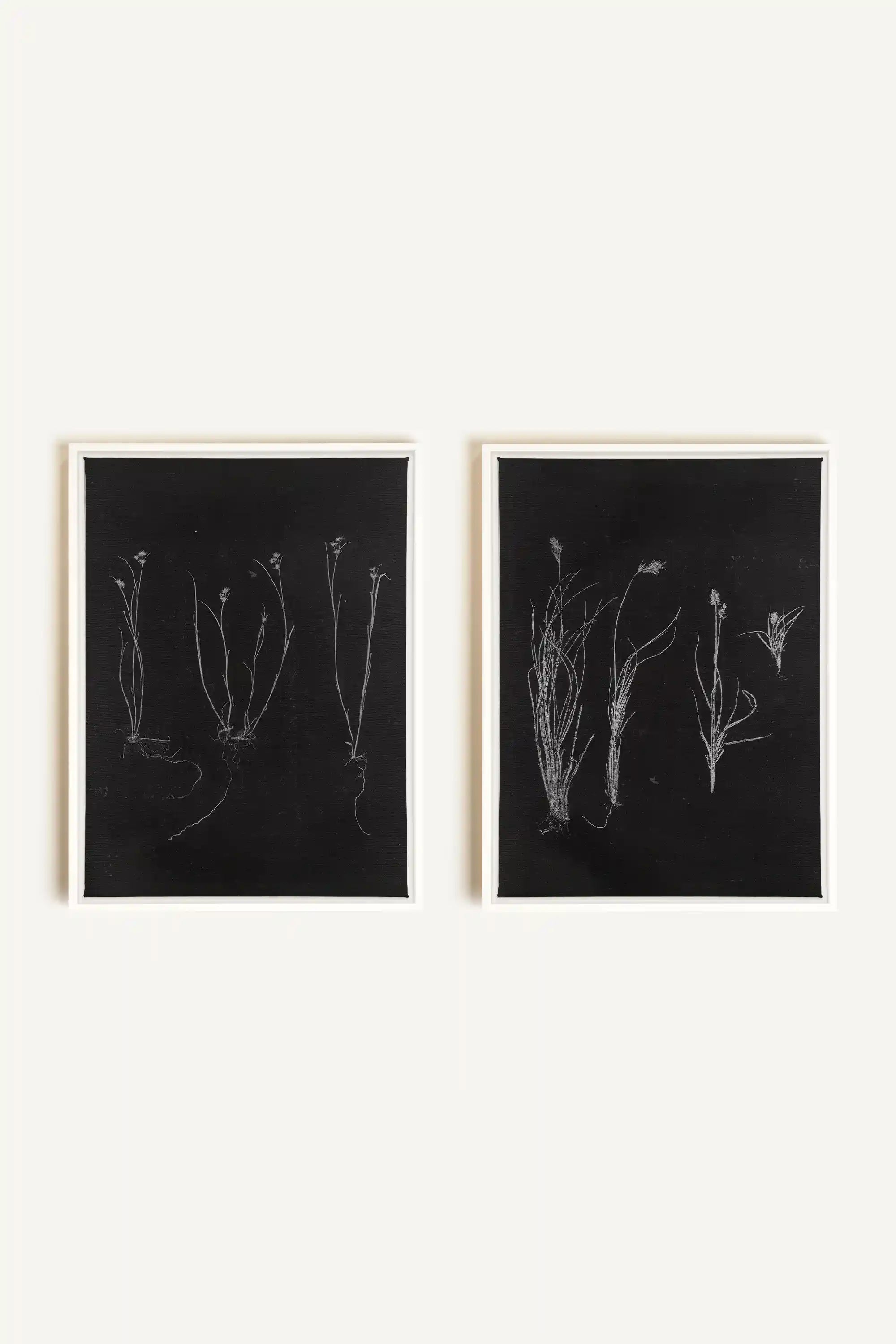 DUO ORIGINES SAUVAGES, 2 Oeuvres sur toile étirée, encadré Blanc