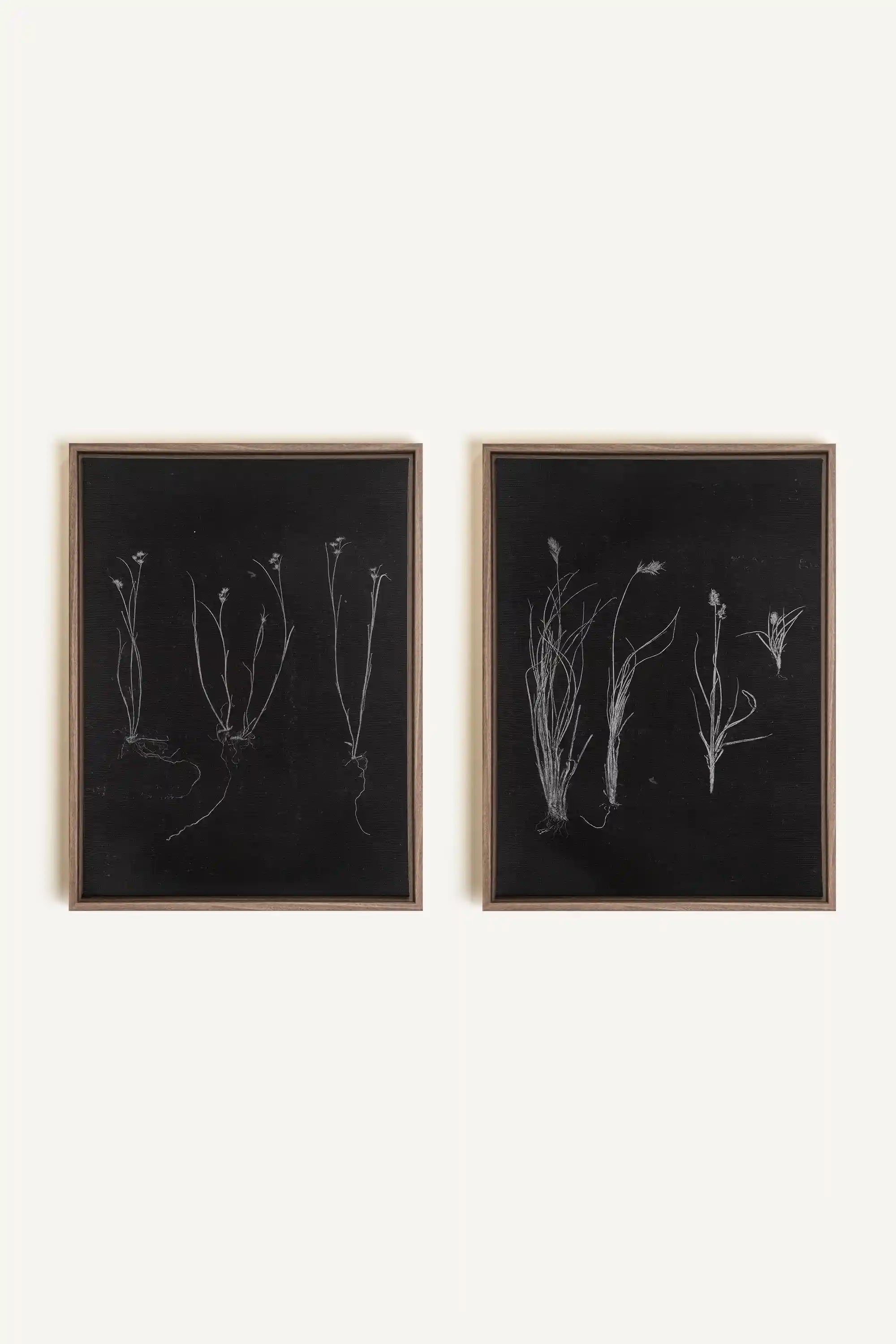 DUO ORIGINES SAUVAGES, 2 Oeuvres sur toile étirée, encadré Brun Chêne