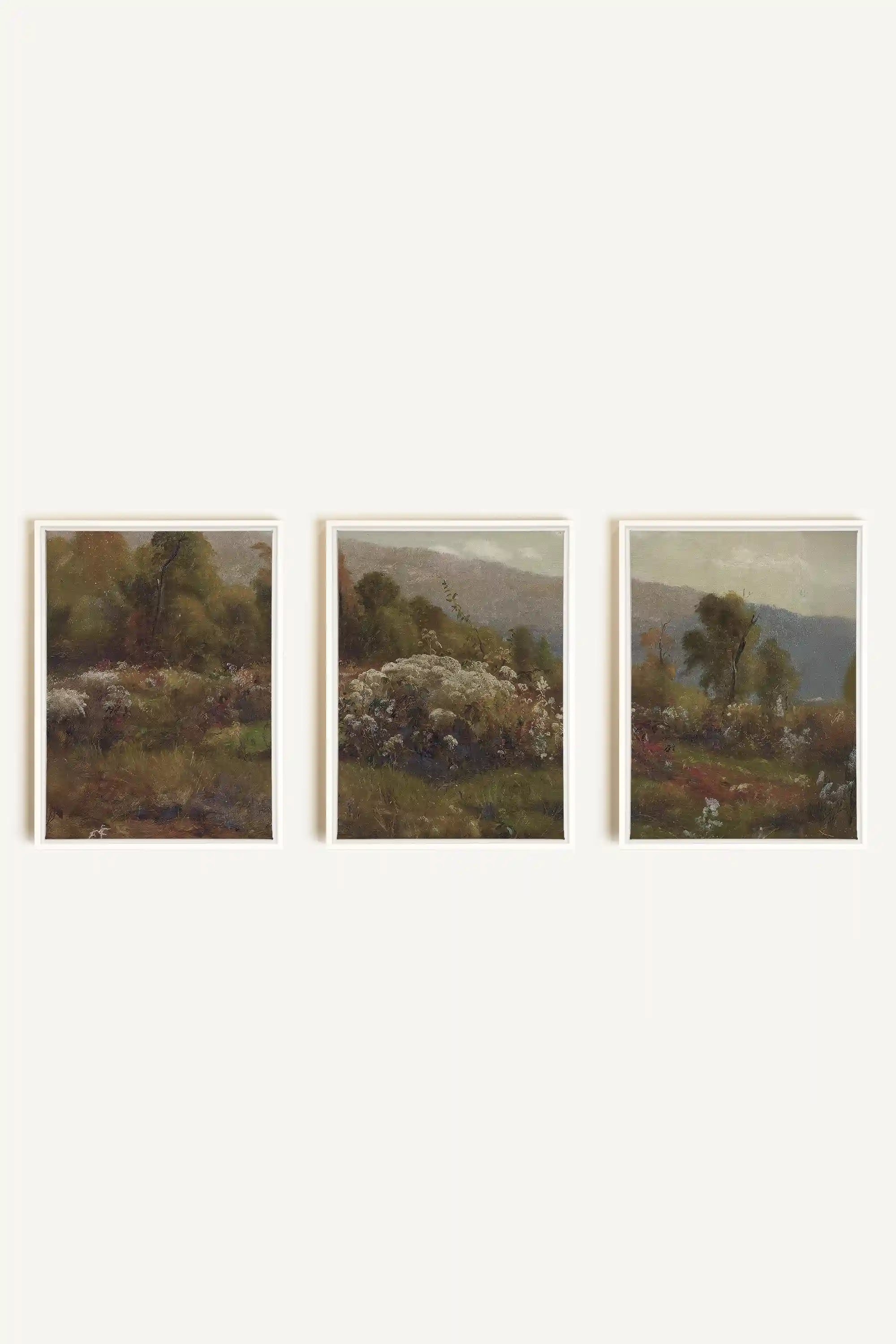 TRIO DOUCEURS CHAMPÊTRES, 3 Oeuvres sur toile étirée, encadré Blanc