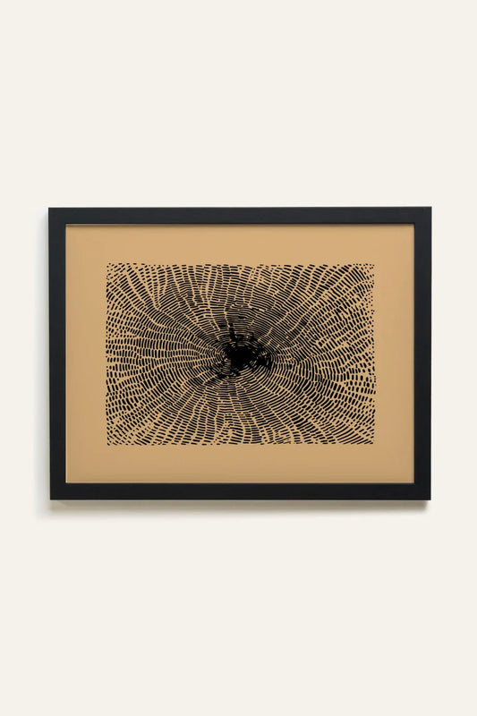 ANCIENT ROOTS, Toile Rigide