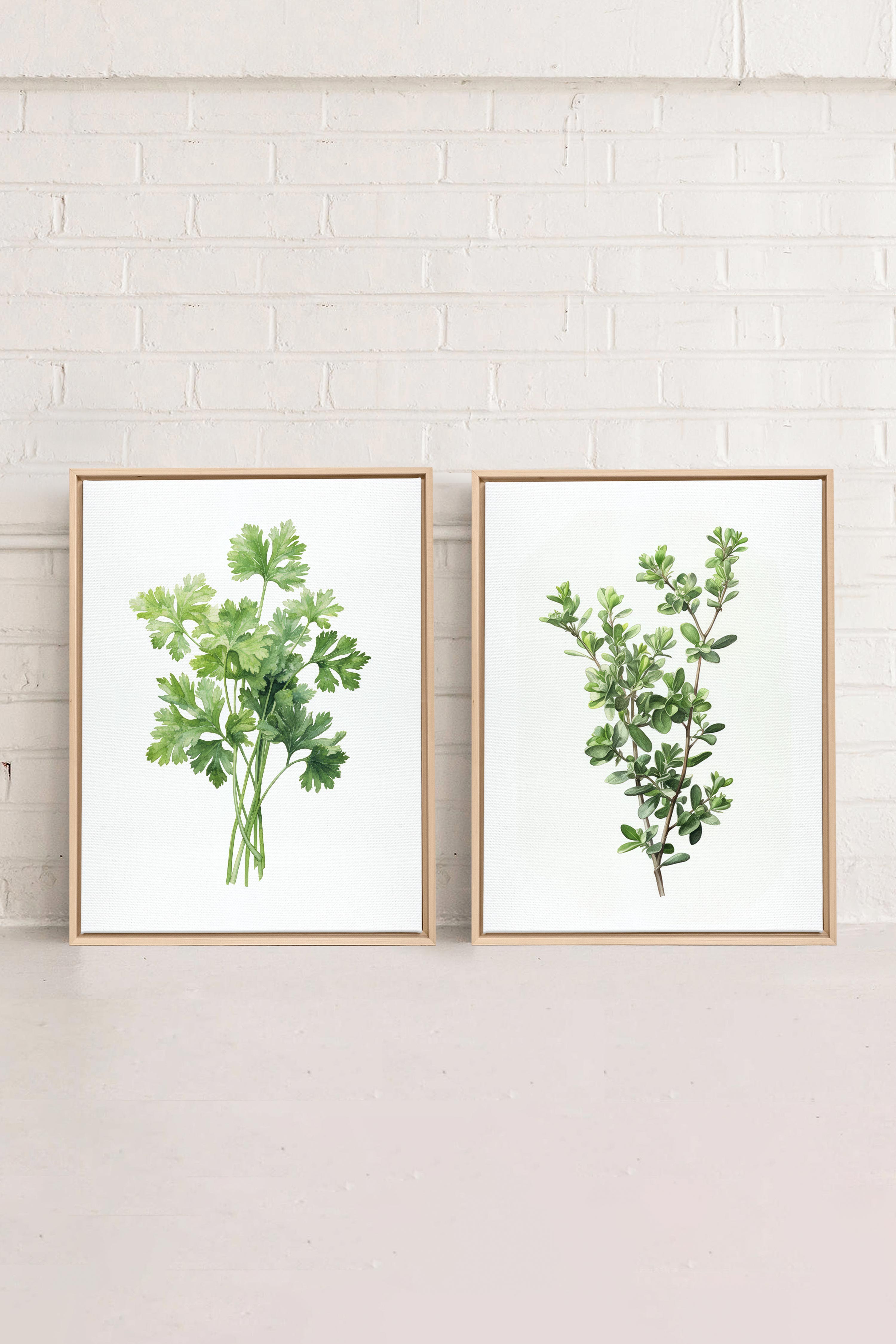 DUO FINES HERBES, 2 Oeuvres sur toile étirée, encadré Naturel Clair