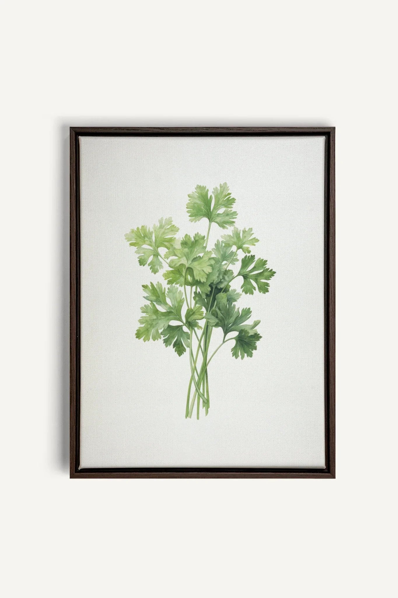 OLEKA CANVAS - CILANTRO, Oeuvre sur toile étirée, encadré Brun Noyer