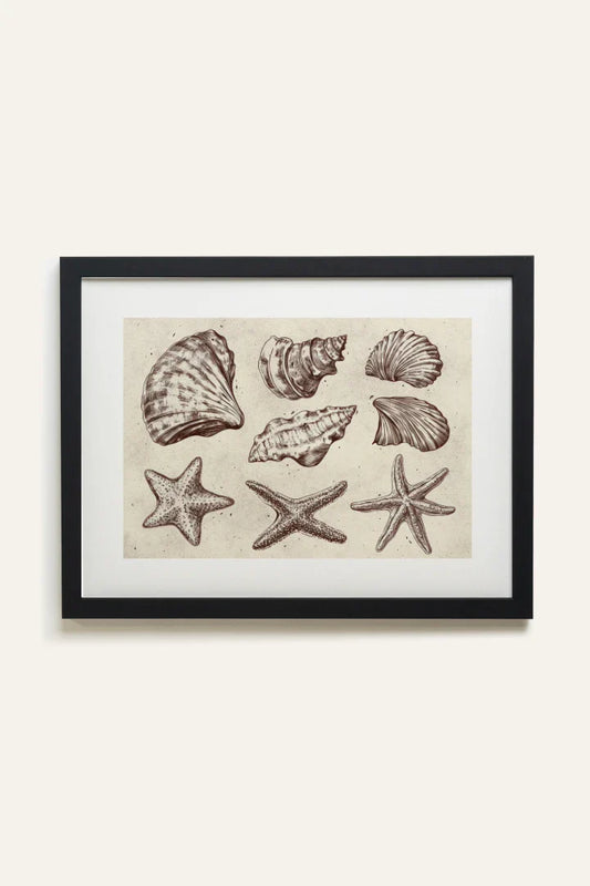 COASTAL COLLECTION, Toile Rigide