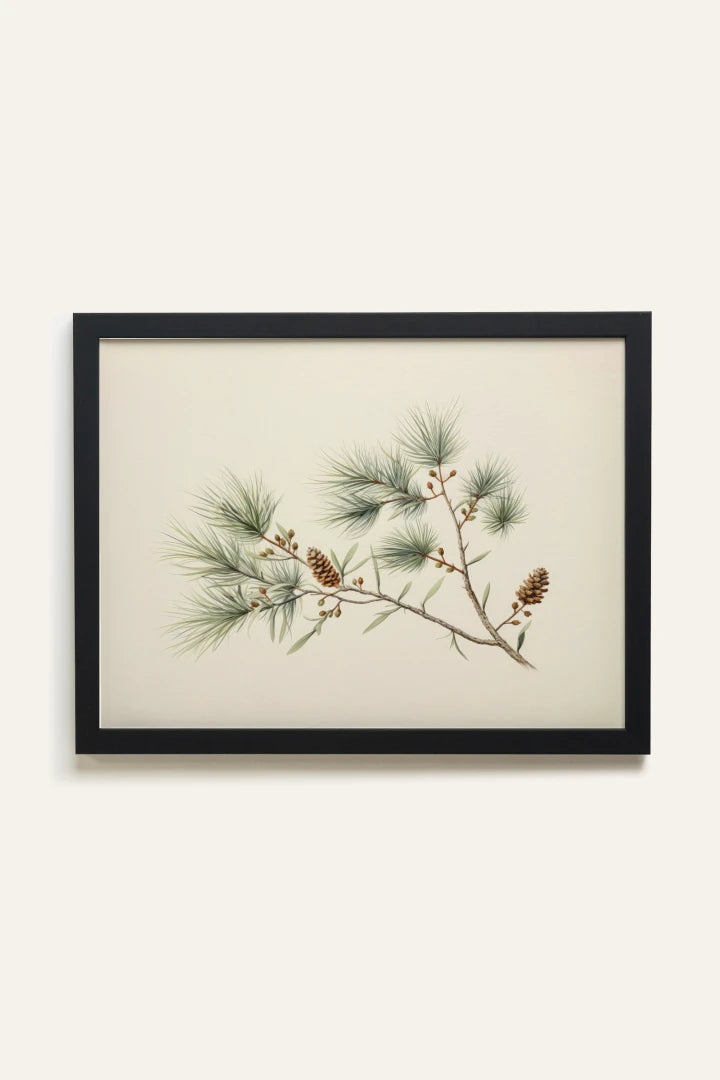 Conifer Branch, Toile Rigide