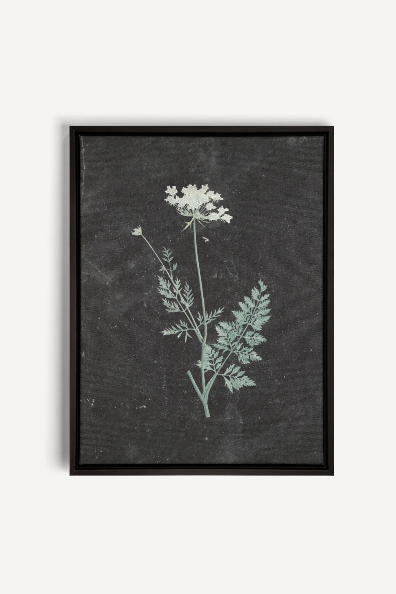 DENTELLE SAUVAGE, Oeuvre sur toile étirée, encadré Noir