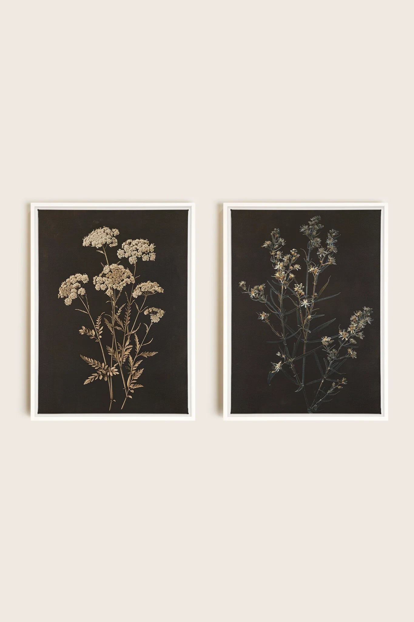 DUO FLEURS PRÉCIEUSES, 2 Works on stretched canvas, framed in white
