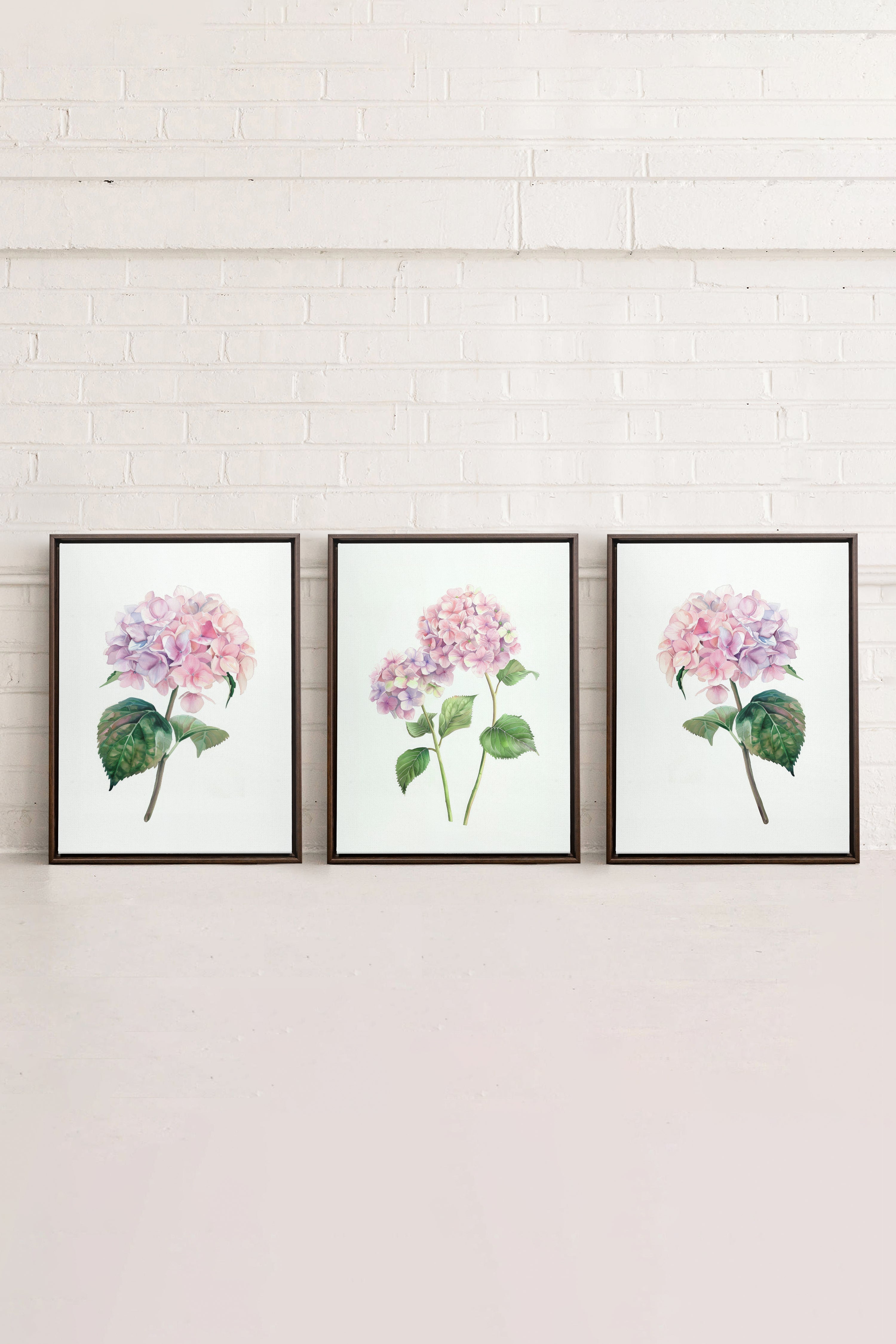 BLOSSOMING TRIO, 3 Oeuvres sur toile étirée, encadré Brun Noyer