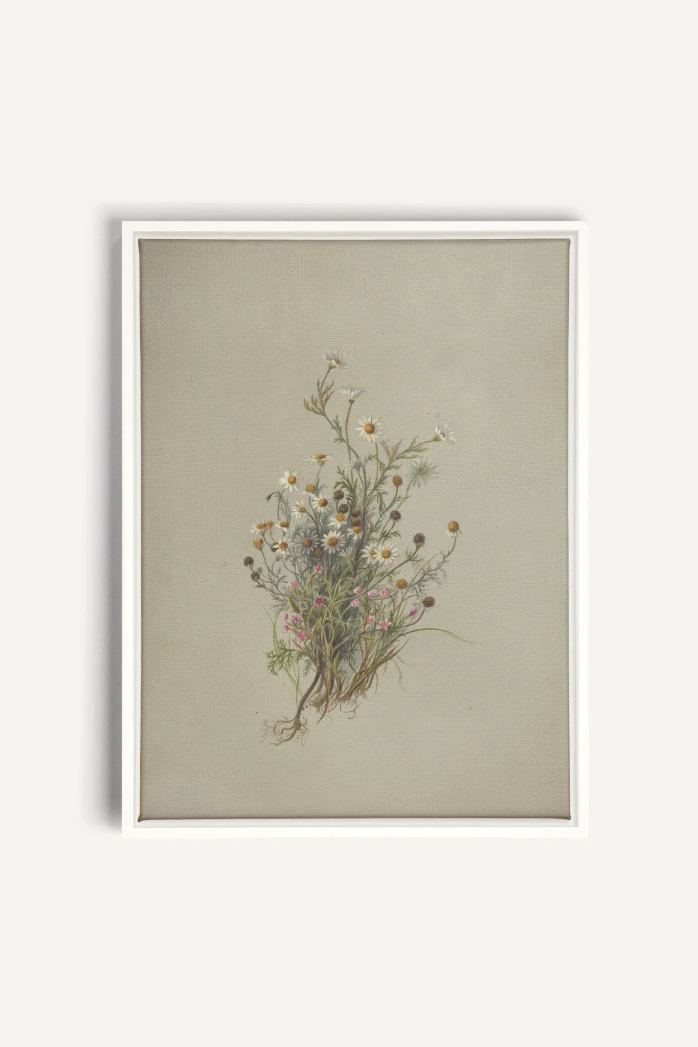 FLEURS DES PRÉS, Oeuvre sur toile étirée, encadré Blanc