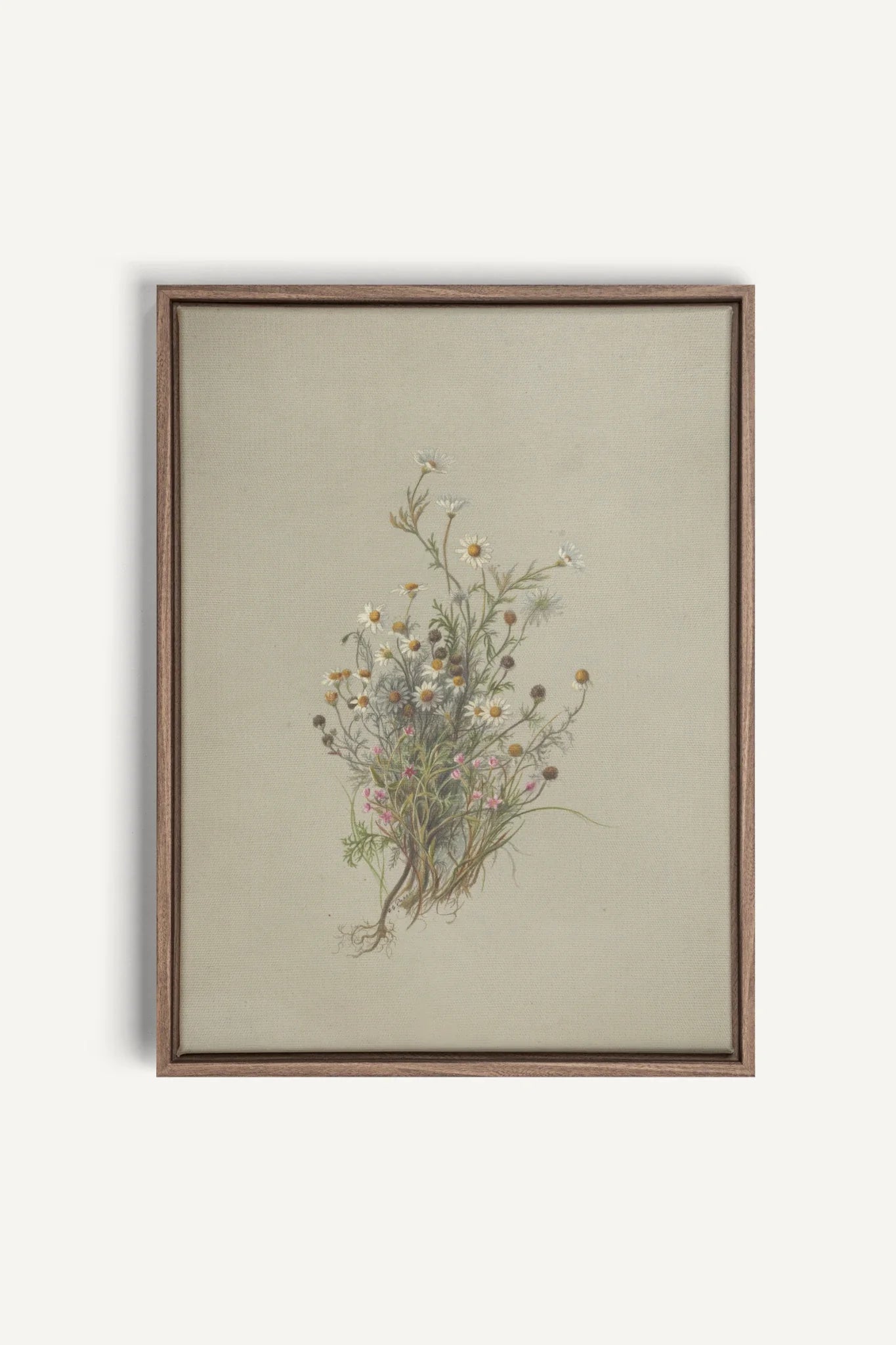 FLEURS DES PRÉS, Oeuvre sur toile étirée, encadré Brun Chêne