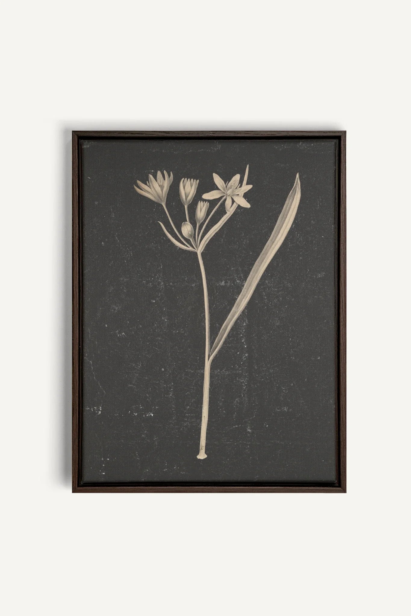 MINIMAL FLORA, Work on stretched canvas, framed Walnut Brown