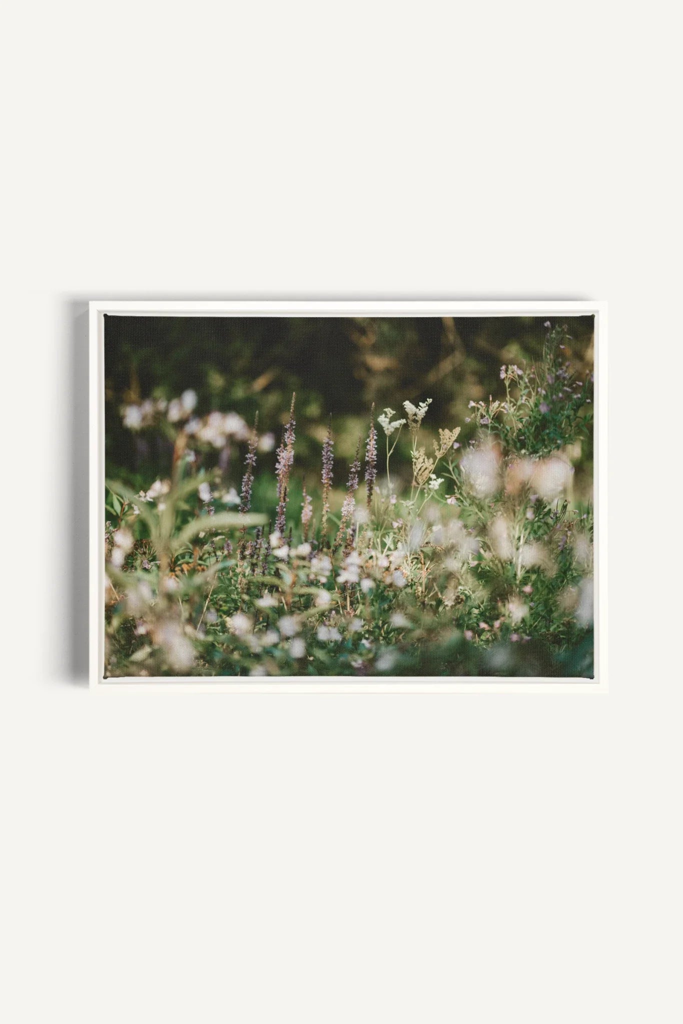 SAUGE & LAVANDE, Oeuvre sur toile étirée, encadré Blanc