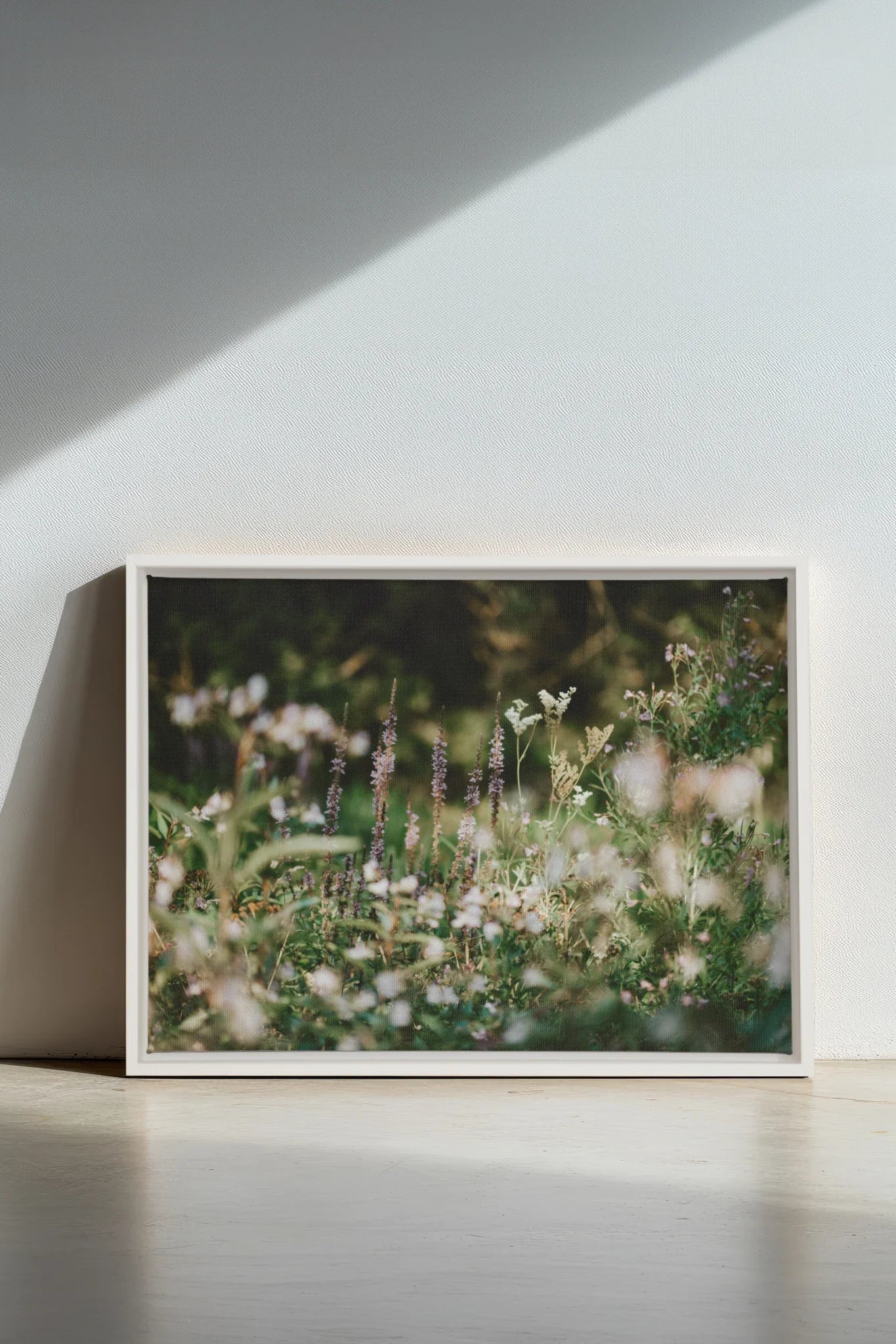 SAUGE & LAVANDE, Oeuvre sur toile étirée, encadré Blanc