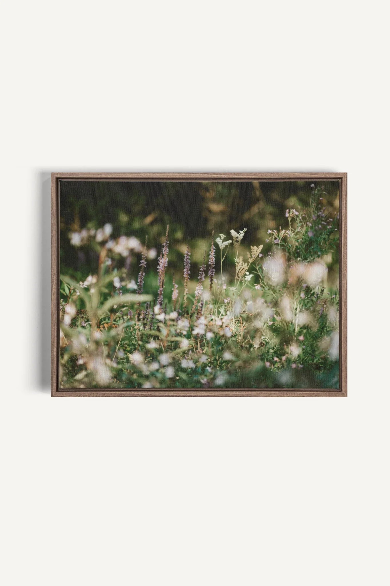 SAUGE & LAVANDE, Oeuvre sur toile étirée, encadré Brun Chêne