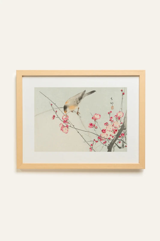 SONGBIRD, Toile Rigide