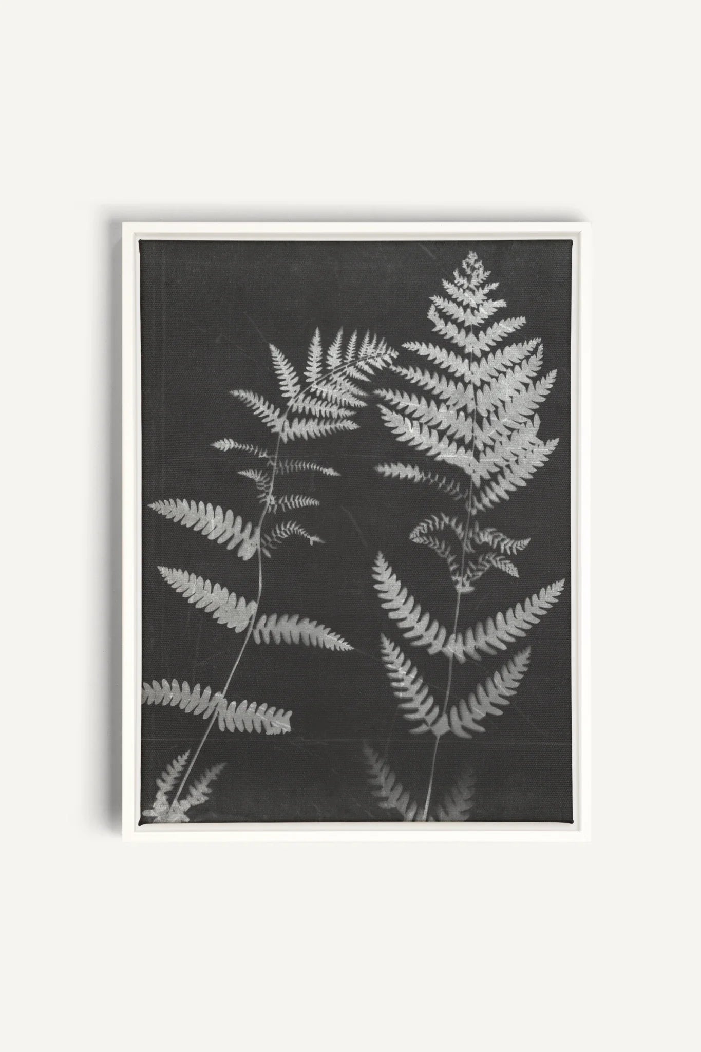 SOUFFLE FORESTIER, Oeuvre sur toile étirée, encadré Blanc