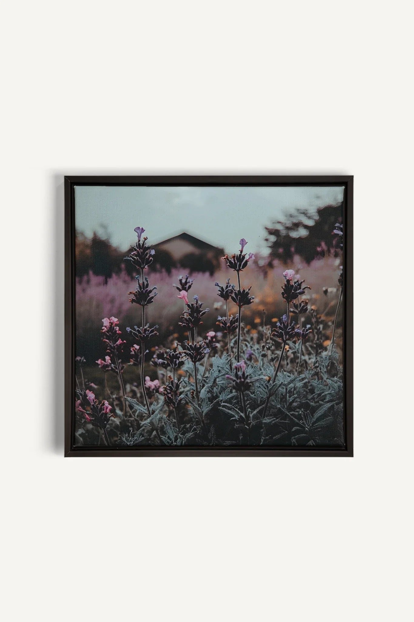 SOUFFLE LAVANDE, Artwork on stretched canvas, framed in black