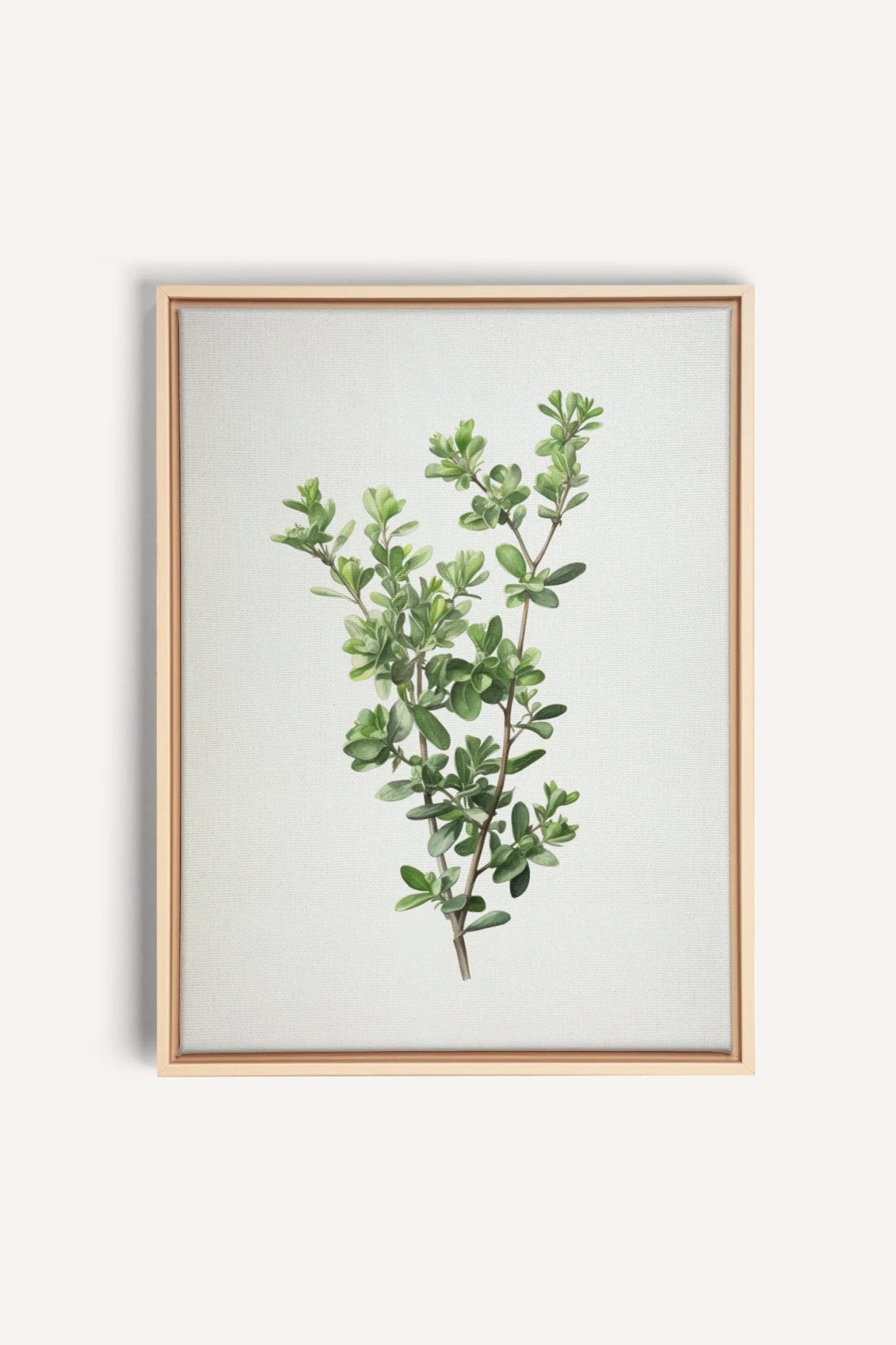 THYMARIS, Oeuvre sur toile étirée, encadré Naturel Clair