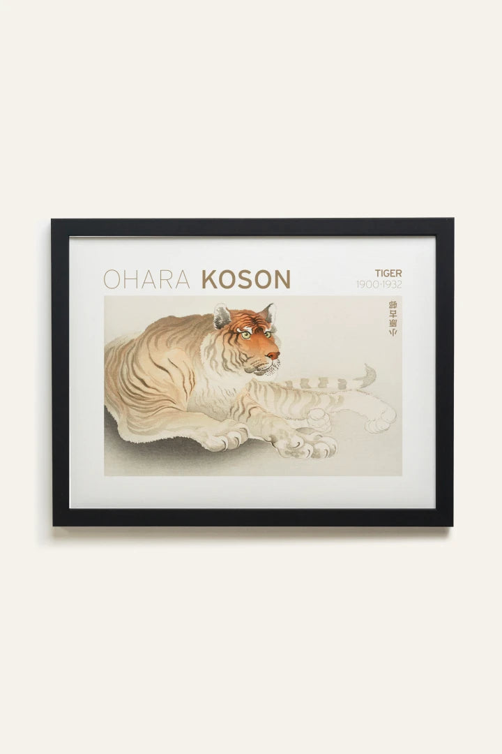 TIGER, Toile Rigide