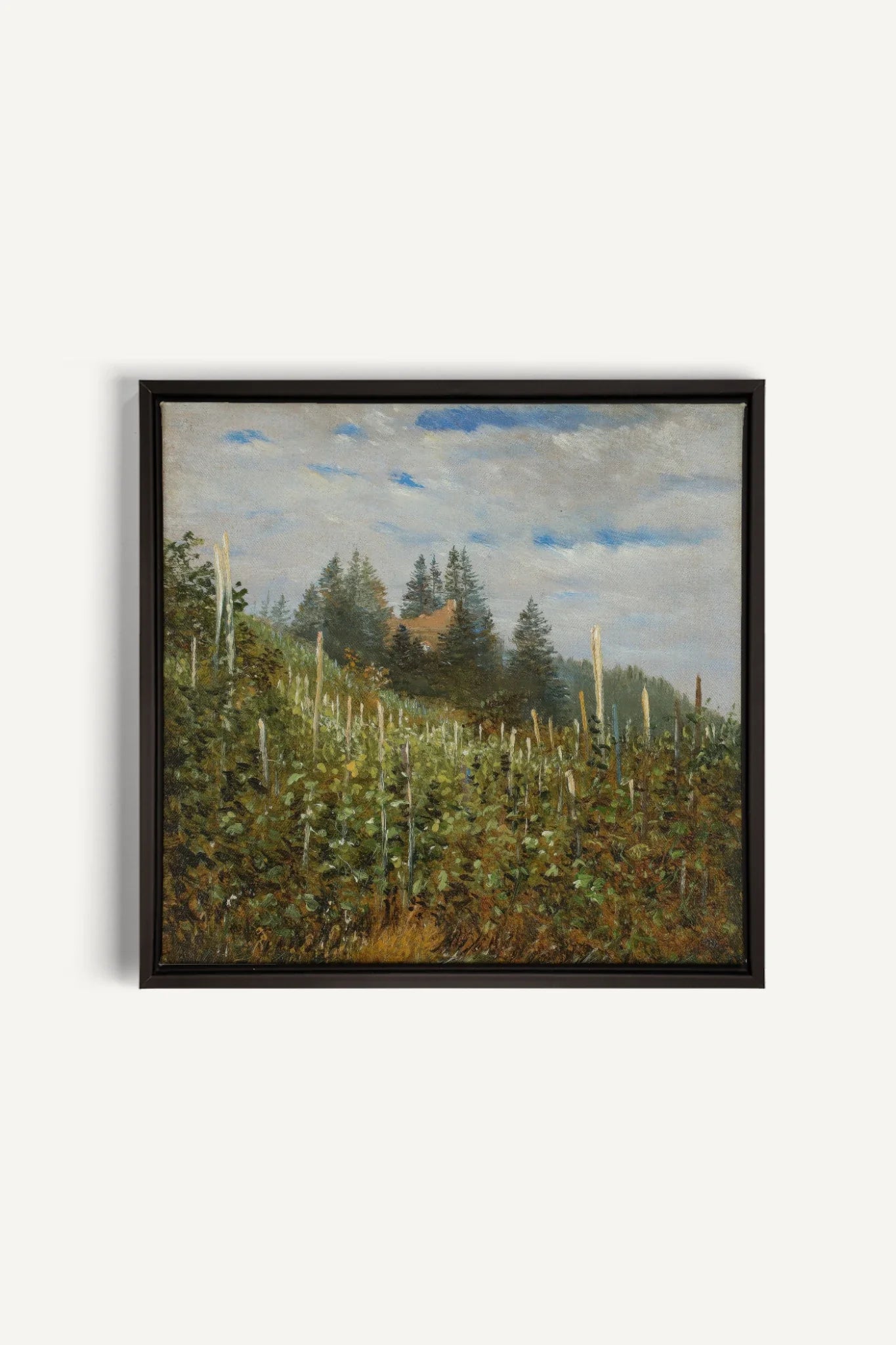 VERSANTS SAUVAGES, Artwork on stretched canvas, framed in black