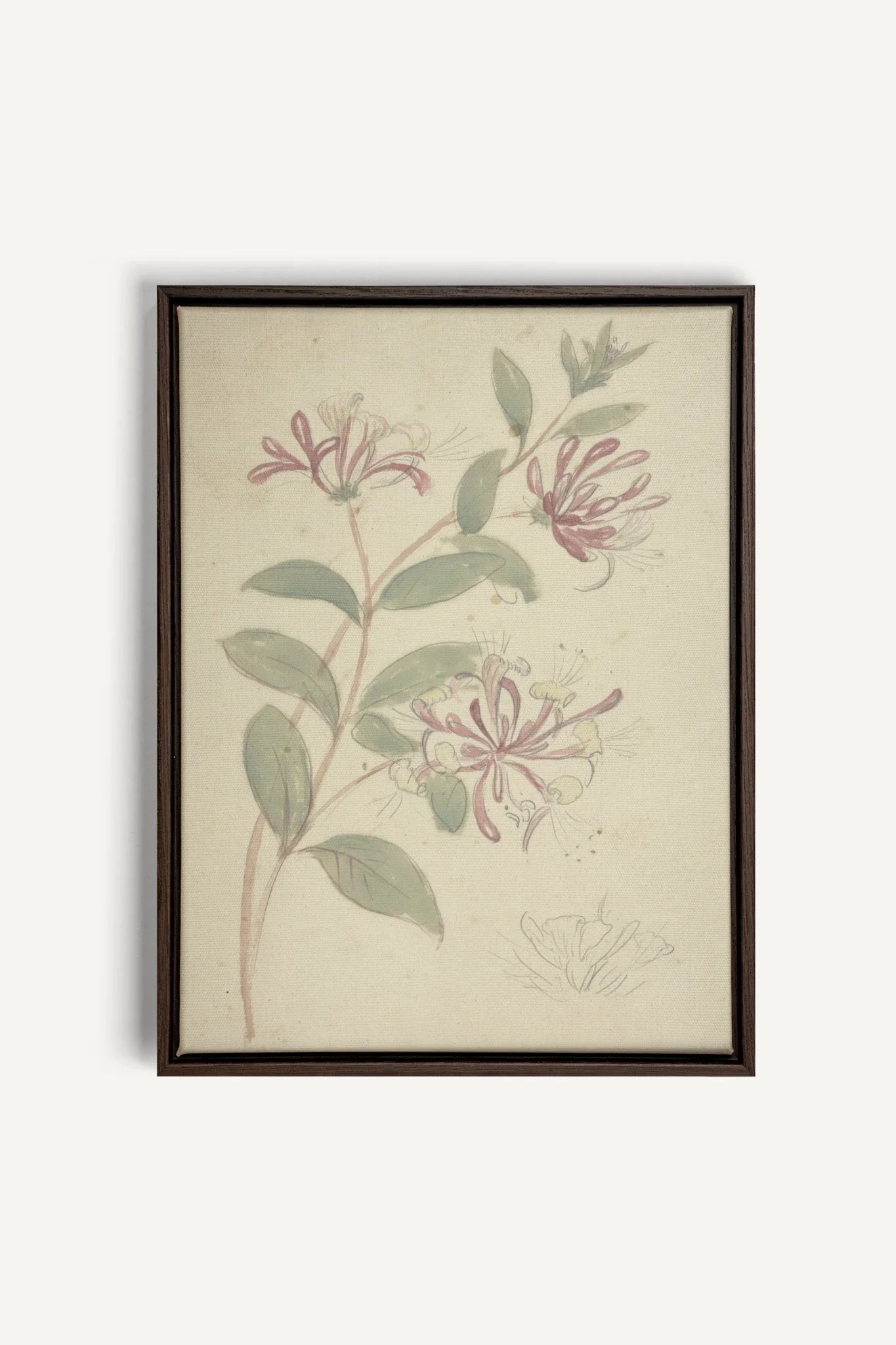 VINTAGE VINE, Oeuvre sur toile étirée, encadré Brun Noyer