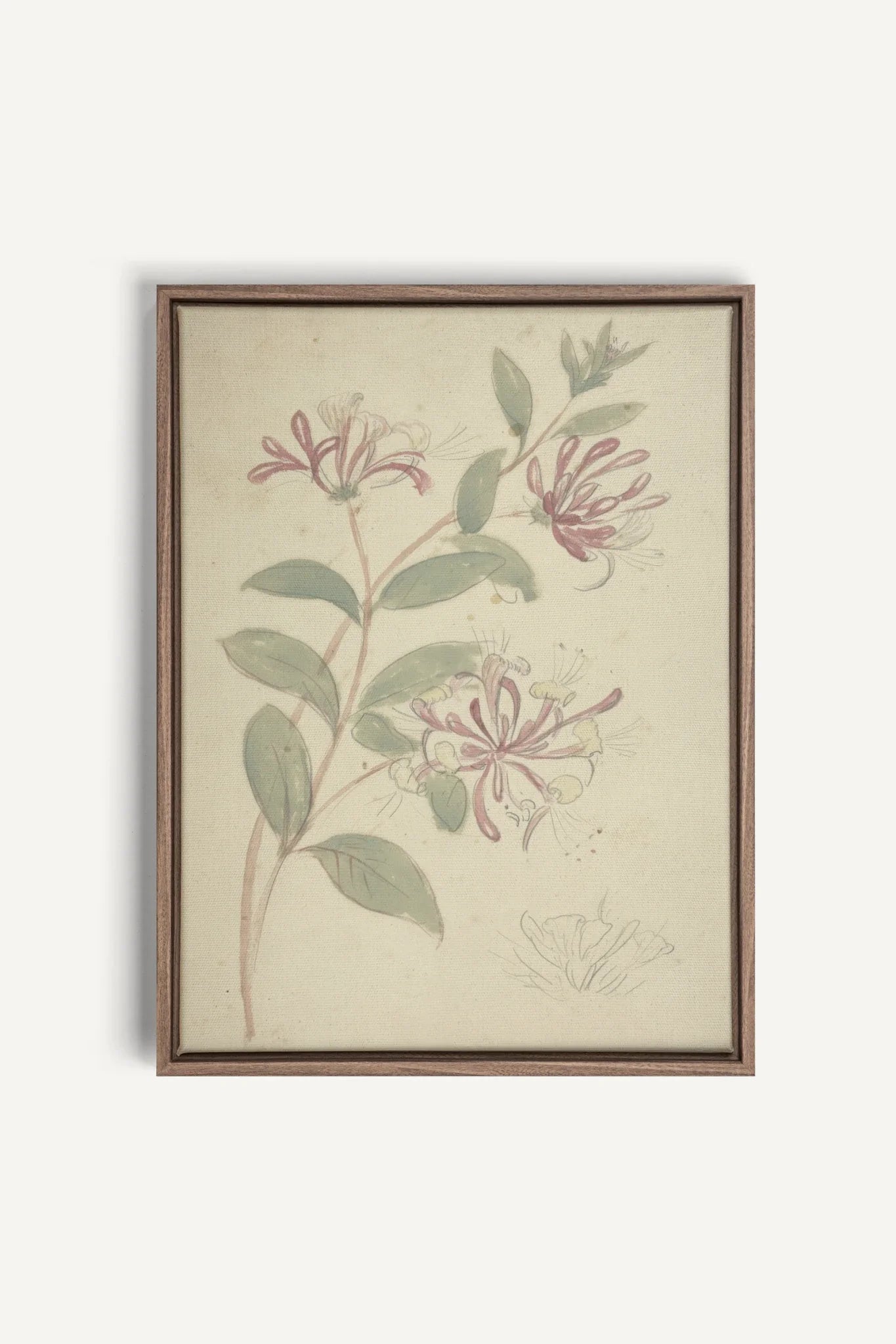 VINTAGE VINE, Oeuvre sur toile étirée, encadré Brun Chêne