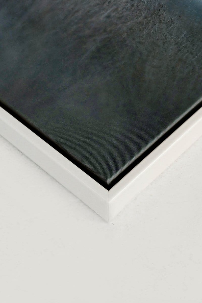NOTHINGNESS, Oeuvre sur toile étirée