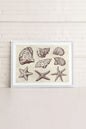 COASTAL COLLECTION, Work on stretched canvas