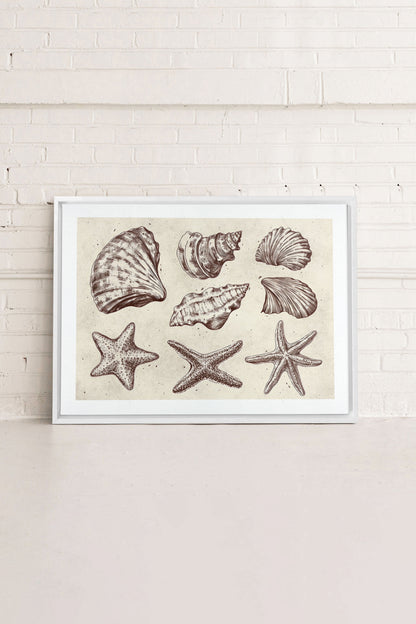 OLEKA CANVAS - COASTAL COLLECTION, Oeuvre sur toile étirée, encadré Blanc