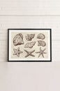 COASTAL COLLECTION, Work on stretched canvas
