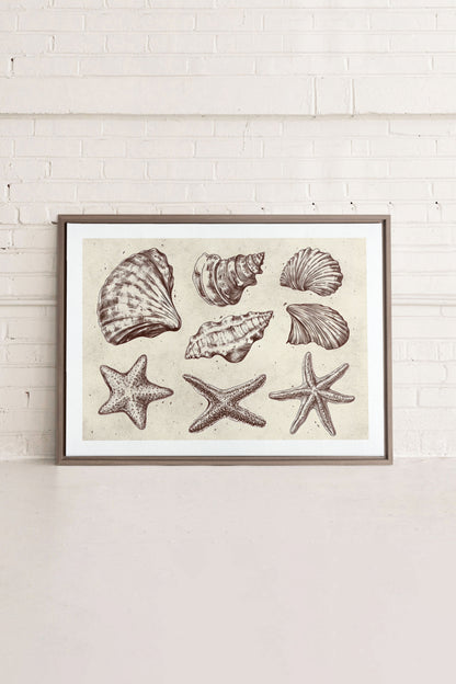 OLEKA CANVAS - COASTAL COLLECTION, Oeuvre sur toile étirée, encadré Brun Chêne