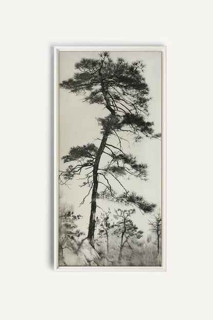 PIN SOLITAIRE, Oeuvre sur toile étirée, encadré Blanc