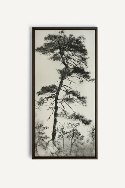 PIN SOLITAIRE, Oeuvre sur toile étirée, encadré Brun Noyer
