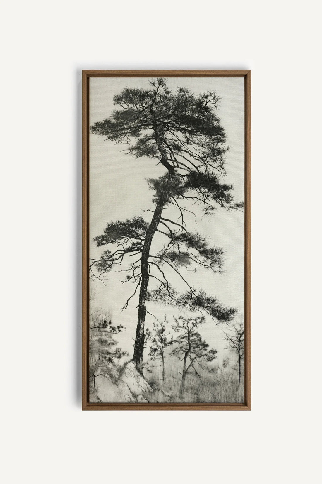 PIN SOLITAIRE, Oeuvre sur toile étirée, encadré Brun Chêne